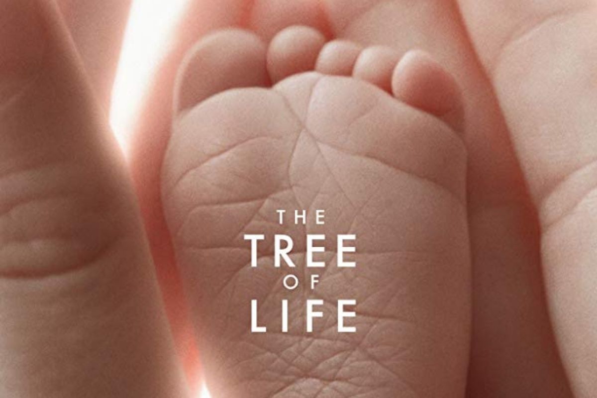 Film The Tree of Life Enneagram Type 1