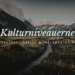 Kulturniveauerne som ledelsesværktøj - THINK ABOUT IT